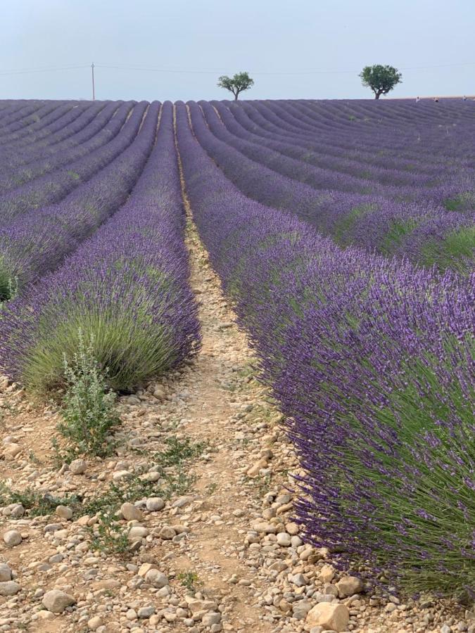 Studio Nuitee En Provence 2 Éguilles エクステリア 写真